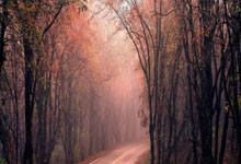 美国传奇拳王福尔曼去世 享年76岁.