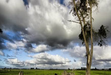 nba虎扑官网:追光丨“中国游泳,需要你们不断站出来”.