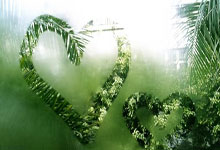 [柔道]最后一秒定胜负 任祥升获得100公斤级冠军.