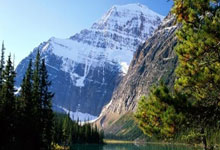 国足遭挖角?曝伊拉克换帅瞄准71岁伊万:他是世界名帅+拥2大优点.