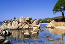 阿根廷在2022年世界杯夺冠的五大关键功臣.